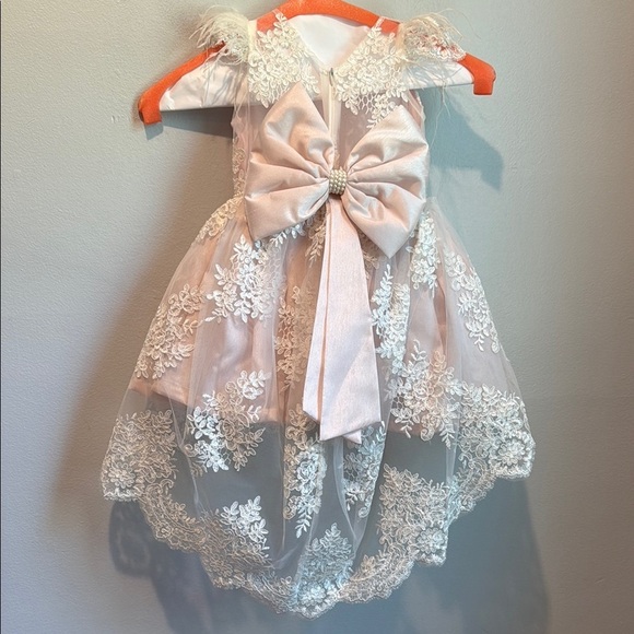 12 Months Sequin and Lace Pink Dress with Floral Embroidery Train Pearl Belt - Picture 14 of 16